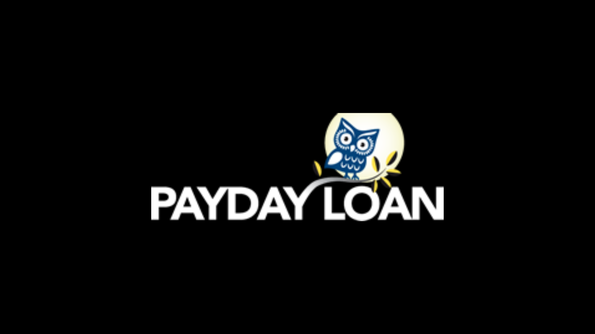 Why Choose Payday Loan NZ for Your Short-Term Financial Needs?