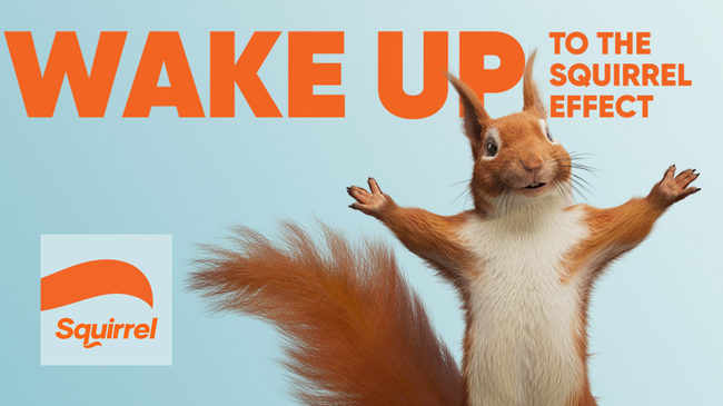 Why Squirrel is the Go-To Financial Partner for New Zealanders